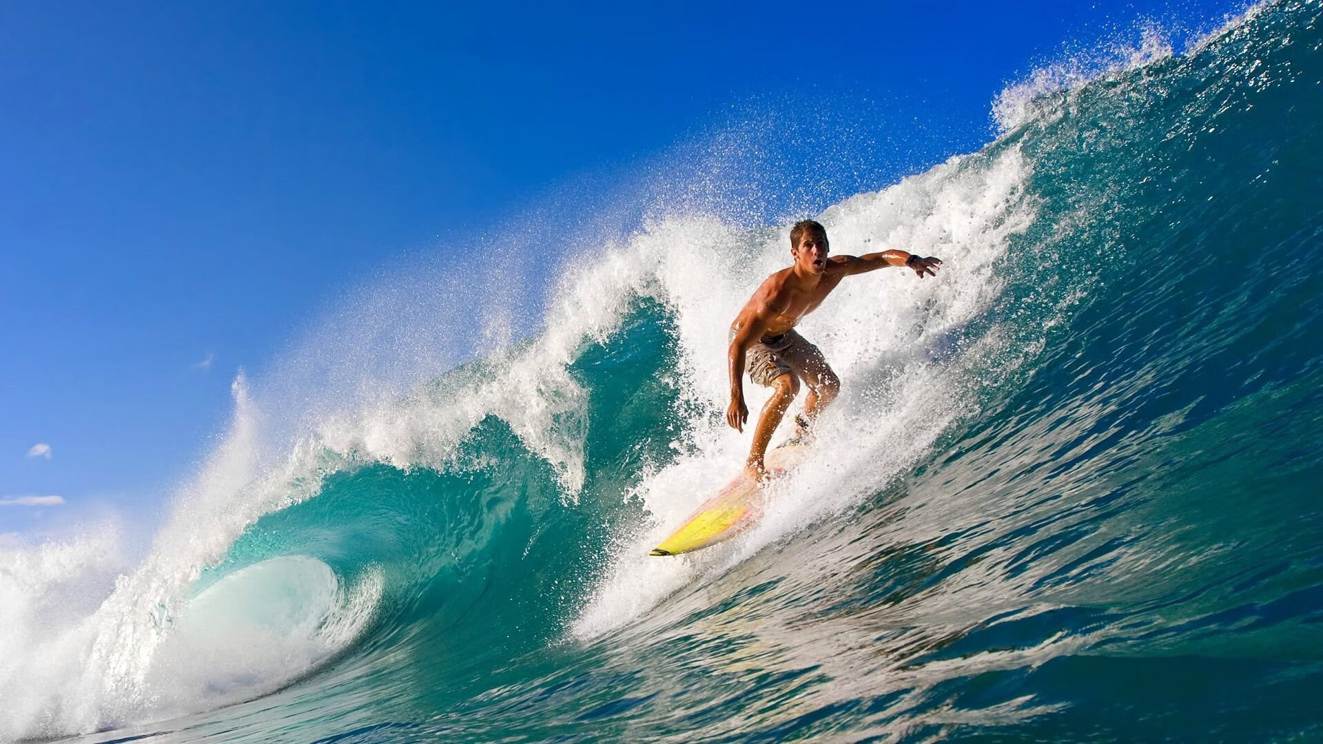 体育新闻中心特别快讯发布，体育新闻最新消息