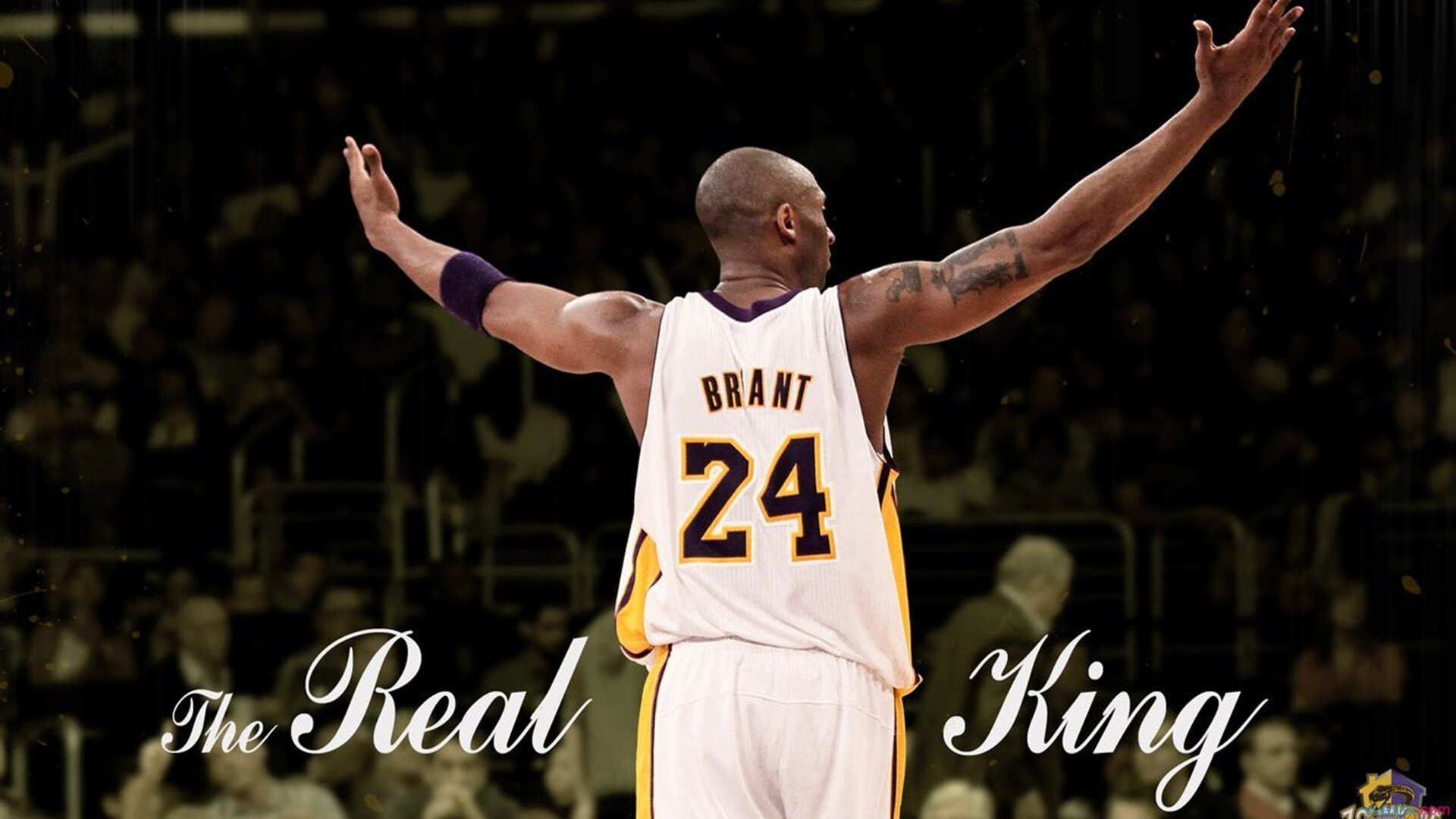 从职位争夺看社会导向，刘伟提出深刻见解